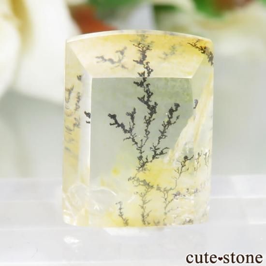 ブラジル産 デンドリティッククォーツのルース No.29の写真1 cute stone
