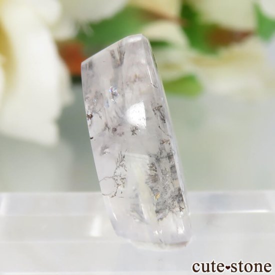 ֥饸뻺 ǥɥƥåĤΥ롼 No.31μ̿0 cute stone