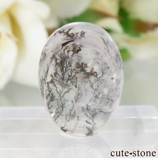 ֥饸뻺 ǥɥƥåĤΥ롼 No.31μ̿1 cute stone