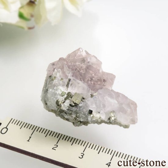 ڥ롼 Huanzala Mine ԥ󥯥ե饤ȡѥ饤  No.5μ̿5 cute stone