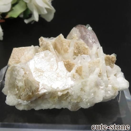 ե˥ Dara-i-Pech 륬ʥȡȥޥХȤθФμ̿0 cute stone