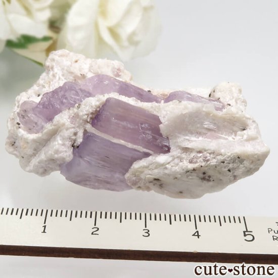 ե˥ ĥ (ݥ󡦥)ХȤθ No.2μ̿6 cute stone