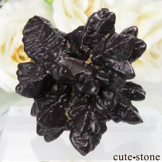  (ޡȲ˥ץȤ åȥȡ No.3μ̿1 cute stone