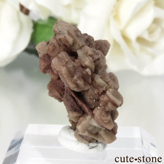  Qalat Payeen ˥ȡʥСˤθ No.24μ̿0 cute stone