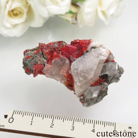  ʻ ꥢ륬 ʷܴСˡ륵Ȥθ No.2μ̿5 cute stone
