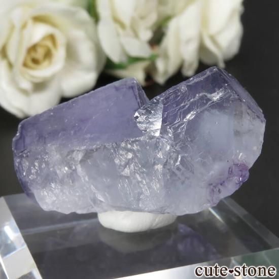 䥪󥷥 ֥롼ե饤Ȥθ No.63μ̿1 cute stone