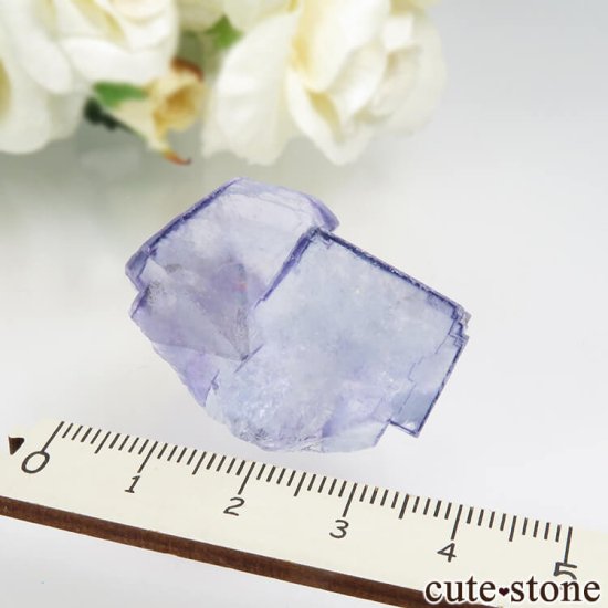 䥪󥷥 ֥롼ե饤Ȥθ No.63μ̿3 cute stone