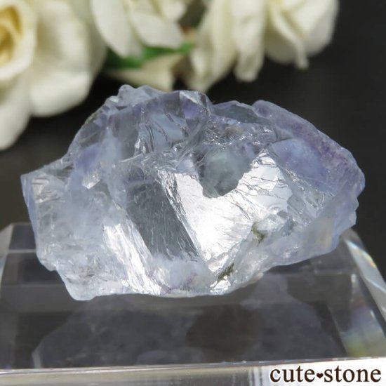 䥪󥷥 ֥롼ե饤Ȥθ No.64μ̿1 cute stone