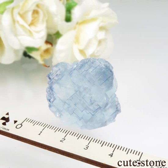 䥪󥷥 ֥롼ե饤Ȥθ No.65μ̿3 cute stone