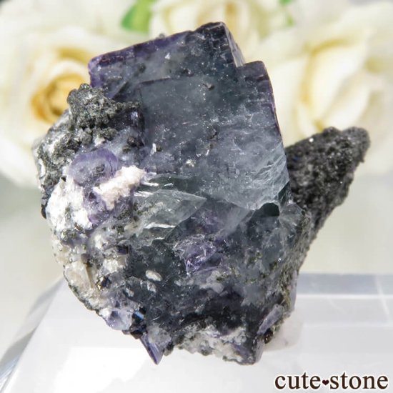 䥪󥷥 ˾뾽֥롼ߥ꡼ե饤Ȥθ No.67μ̿0 cute stone