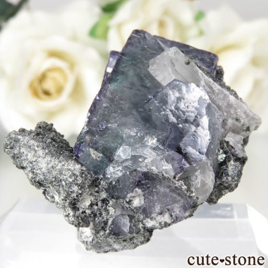 䥪󥷥 ˾뾽֥롼ߥ꡼ե饤Ȥθ No.67μ̿2 cute stone