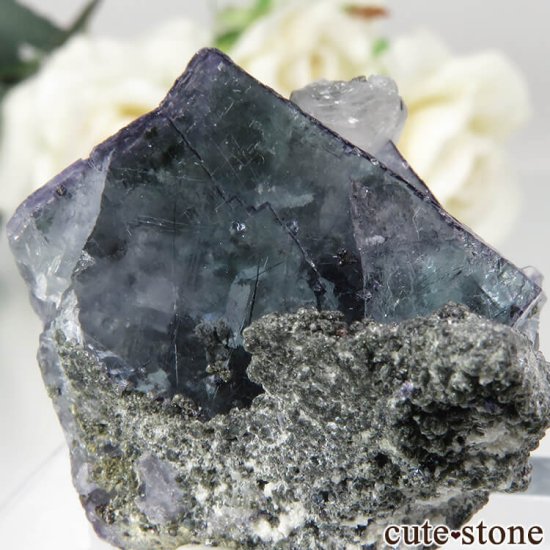 䥪󥷥 ˾뾽֥롼ߥ꡼ե饤Ȥθ No.67μ̿3 cute stone