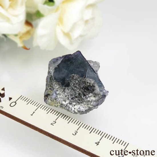 䥪󥷥 ˾뾽֥롼ߥ꡼ե饤Ȥθ No.67μ̿4 cute stone