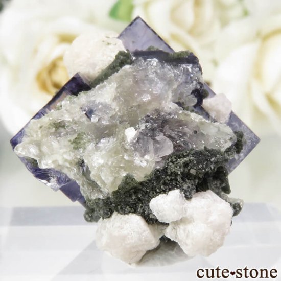 䥪󥷥 ѡץե饤ȡ⥹ХȤθ No.68μ̿1 cute stone