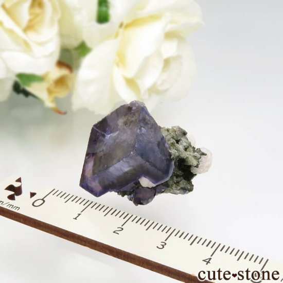 䥪󥷥 ѡץե饤ȡ⥹ХȤθ No.68μ̿3 cute stone