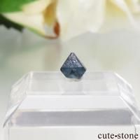 ʥꥢ ֥롼ԥͥʥʥȡˤη뾽ʸСNo.11β