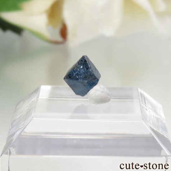 ʥꥢ ֥롼ԥͥʥʥȡˤη뾽ʸСNo.12μ̿1 cute stone