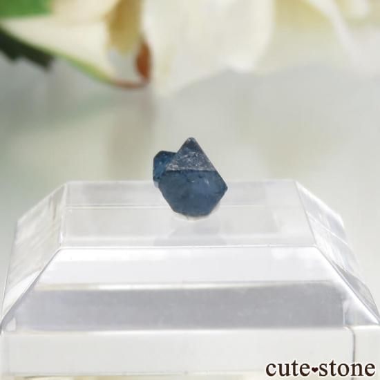 ʥꥢ ֥롼ԥͥʥʥȡˤη뾽ʸСNo.16