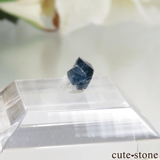 ʥꥢ ֥롼ԥͥʥʥȡˤη뾽ʸСNo.16μ̿0 cute stone