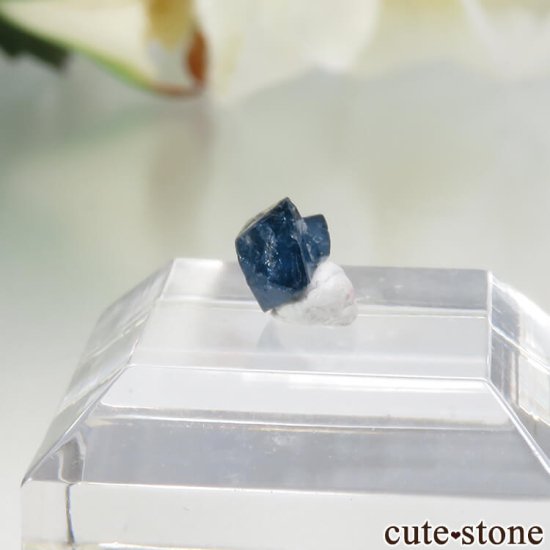 ʥꥢ ֥롼ԥͥʥʥȡˤη뾽ʸСNo.16μ̿2 cute stone