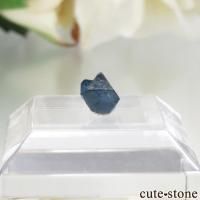 ʥꥢ ֥롼ԥͥʥʥȡˤη뾽ʸСNo.16β