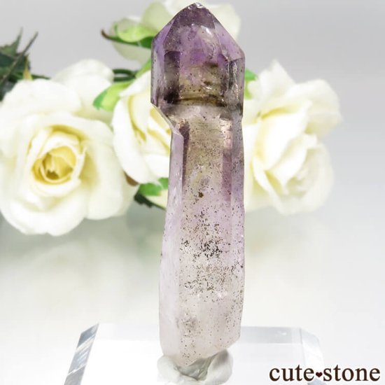 Х֥ ᥸ȡʥץġˤθ No.8μ̿1 cute stone
