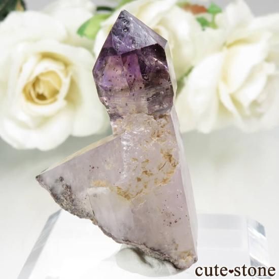 Х֥ ᥸ȡʥץġˤθ No.9μ̿0 cute stone