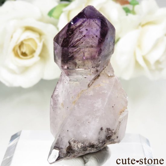 Х֥ ᥸ȡʥץġˤθ No.9μ̿1 cute stone
