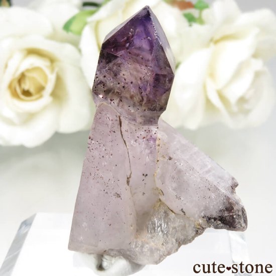 Х֥ ᥸ȡʥץġˤθ No.9μ̿2 cute stone