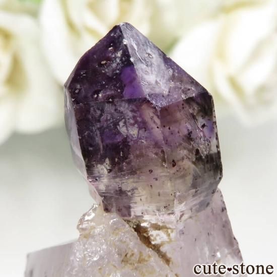 Х֥ ᥸ȡʥץġˤθ No.9μ̿3 cute stone