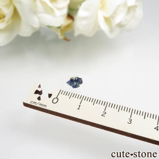 ե˥ California State Gem Mine ٥˥ȥȤθ No.111μ̿1 cute stone