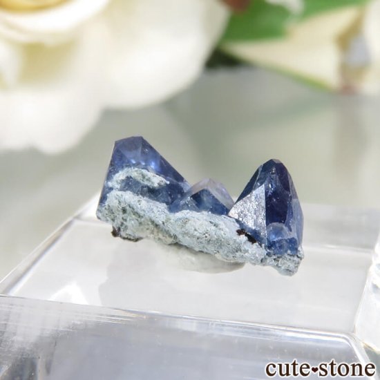 ե˥ California State Gem Mine ٥˥ȥȤθ No.113μ̿0 cute stone