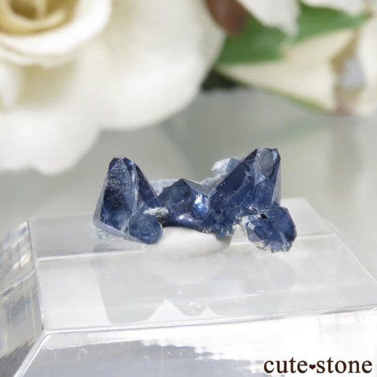ե˥ California State Gem Mine ٥˥ȥȤθ No.113μ̿1 cute stone