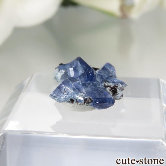 ե˥ California State Gem Mine ٥˥ȥȡͥץʥȤθ No.115μ̿0 cute stone