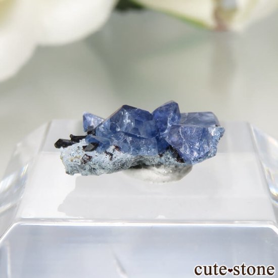 ե˥ California State Gem Mine ٥˥ȥȡͥץʥȤθ No.115μ̿1 cute stone