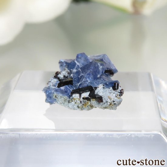 ե˥ California State Gem Mine ٥˥ȥȡͥץʥȤθ No.115μ̿2 cute stone