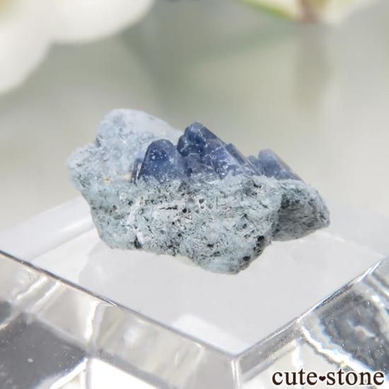 ե˥ California State Gem Mine ٥˥ȥȤθ No.116μ̿1 cute stone