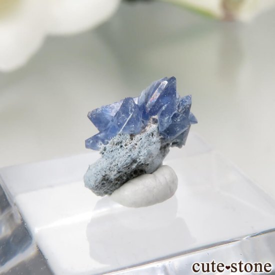 ե˥ California State Gem Mine ٥˥ȥȤθ No.117μ̿1 cute stone