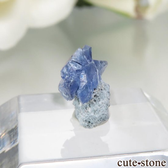ե˥ California State Gem Mine ٥˥ȥȤθ No.117μ̿2 cute stone