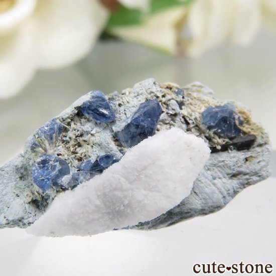 ե˥ California State Gem Mine ٥˥ȥȡͥץʥȤθ No.118μ̿1 cute stone