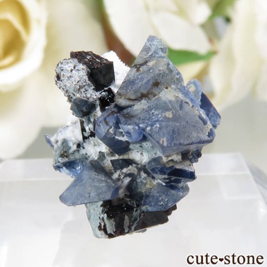ե˥ California State Gem Mine ٥˥ȥȡͥץʥȤθ No.119μ̿0 cute stone