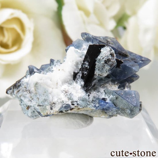 ե˥ California State Gem Mine ٥˥ȥȡͥץʥȤθ No.119μ̿1 cute stone