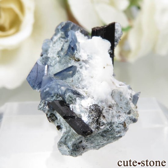 ե˥ California State Gem Mine ٥˥ȥȡͥץʥȤθ No.119μ̿2 cute stone
