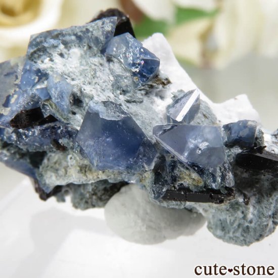 ե˥ California State Gem Mine ٥˥ȥȡͥץʥȤθ No.119μ̿3 cute stone