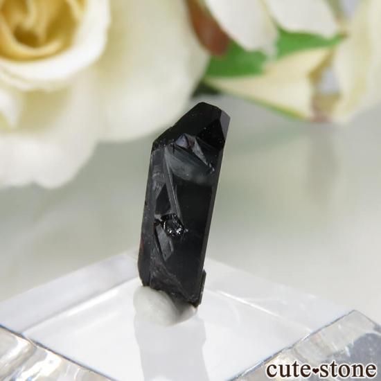 ե˥ California State Gem Mine ͥץʥȤθ No.120μ̿1 cute stone