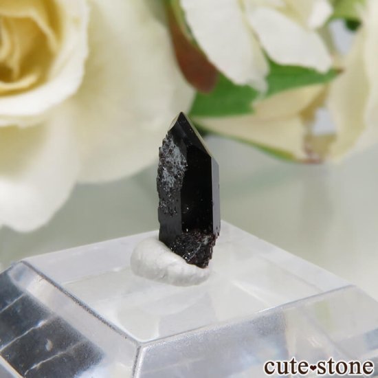 ե˥ California State Gem Mine ͥץʥȤθ No.123μ̿0 cute stone