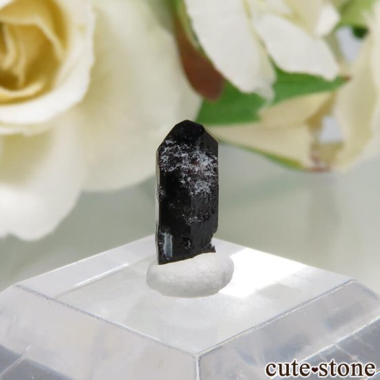 ե˥ California State Gem Mine ͥץʥȤθ No.123μ̿1 cute stone