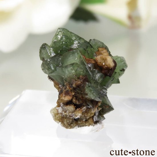 ᥭ San Antonio Mine ɥޥȤθ No.1μ̿0 cute stone