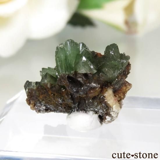 ᥭ San Antonio Mine ɥޥȤθ No.1μ̿1 cute stone