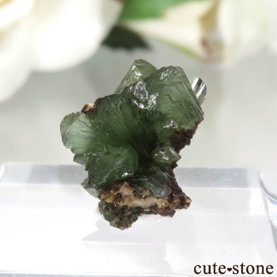 ᥭ San Antonio Mine ɥޥȤθ No.1μ̿2 cute stone